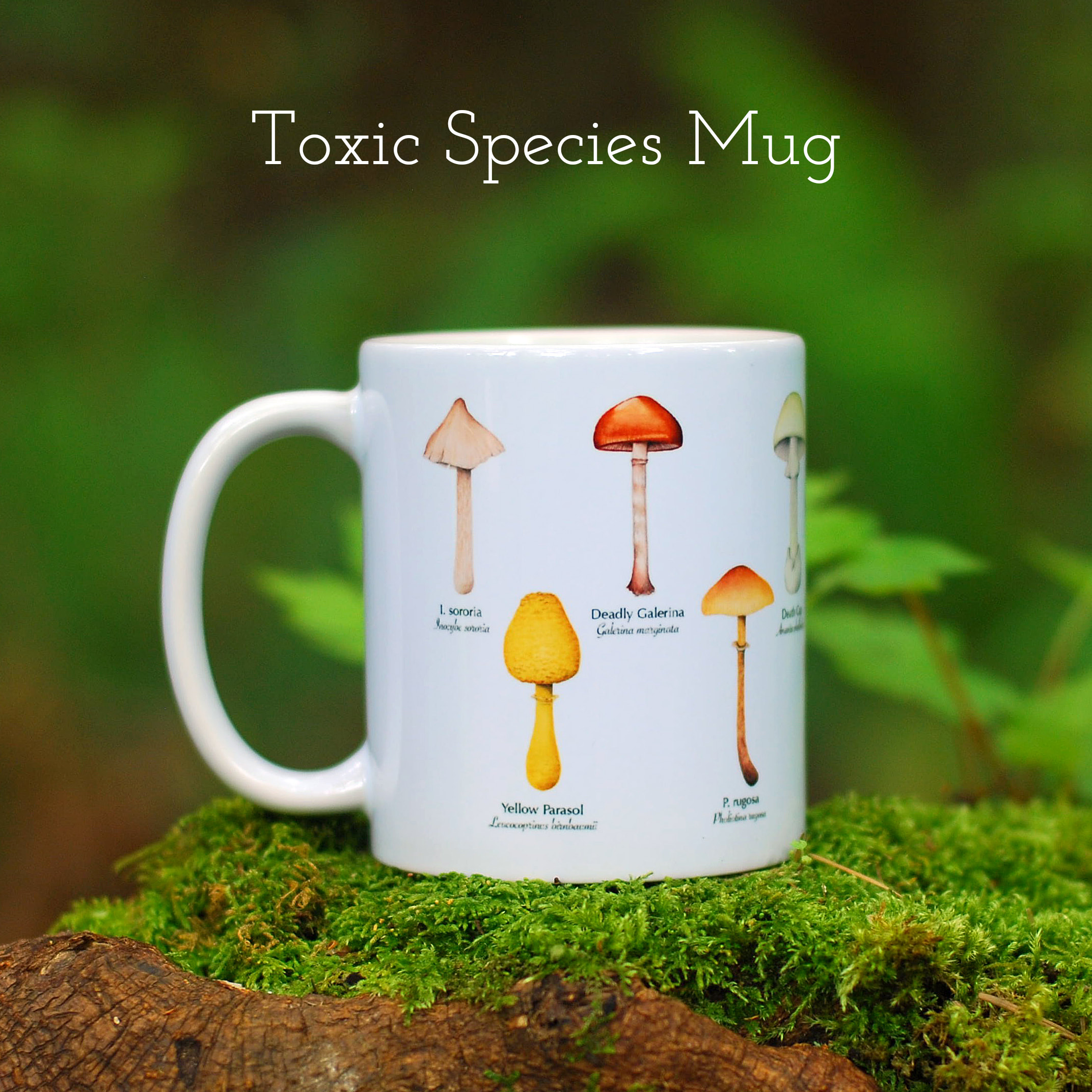 Edible and Toxic Mushroom Mugs Gift Set